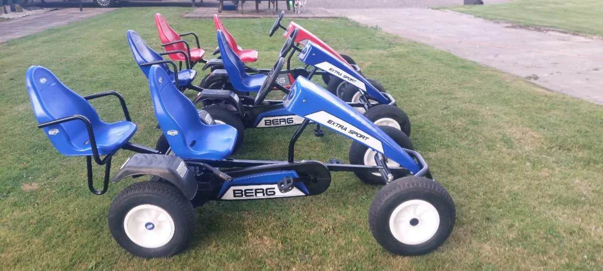 Berg Extra sports BFR model - Image 2