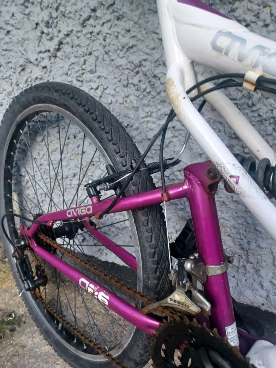 Woman's mountain bike - Image 2