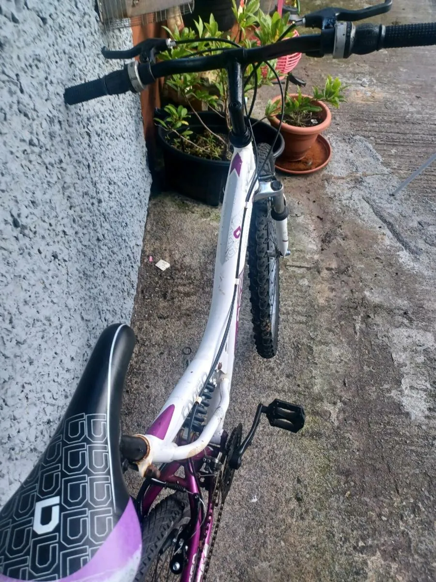 Woman's mountain bike - Image 3