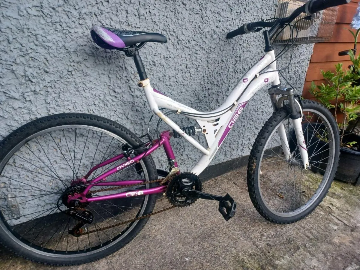 Woman's mountain bike - Image 4