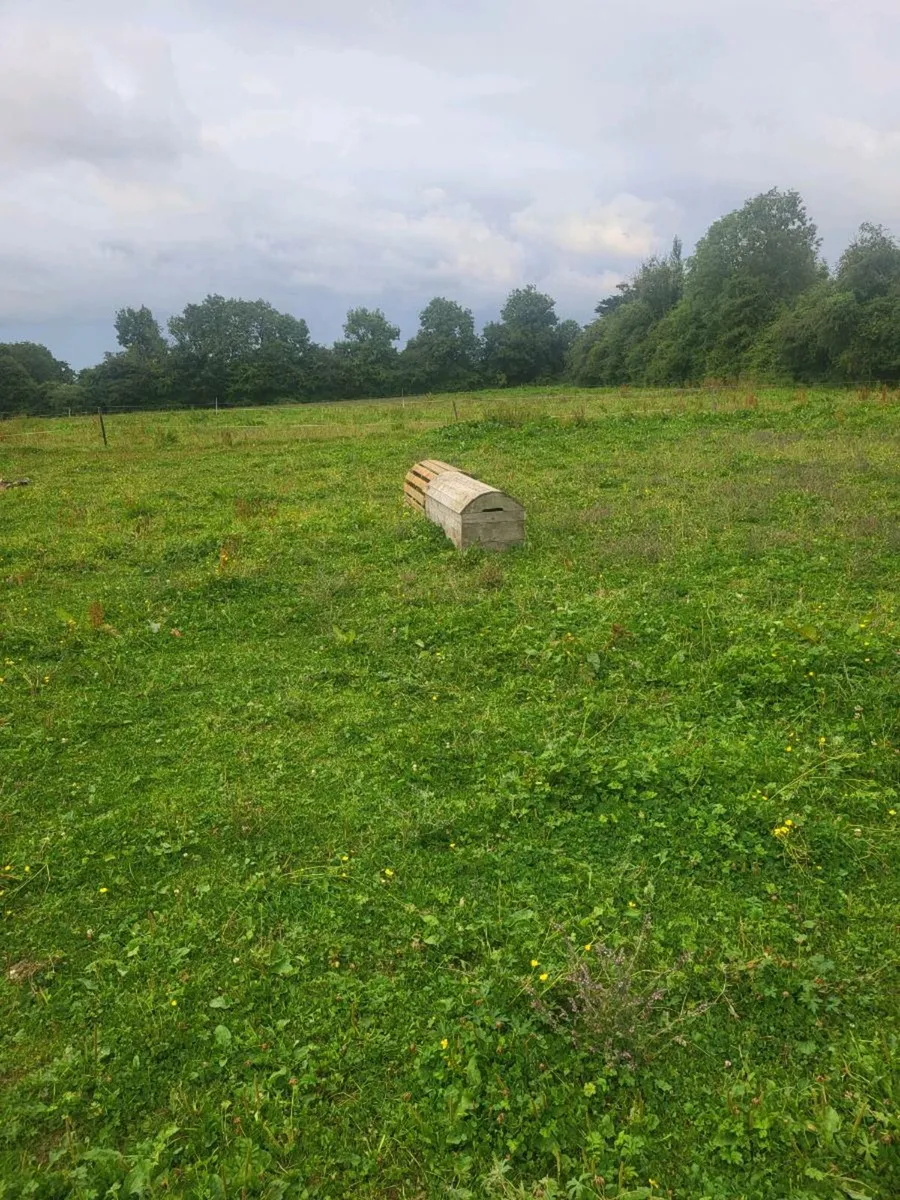 Wanted sheep to graze land