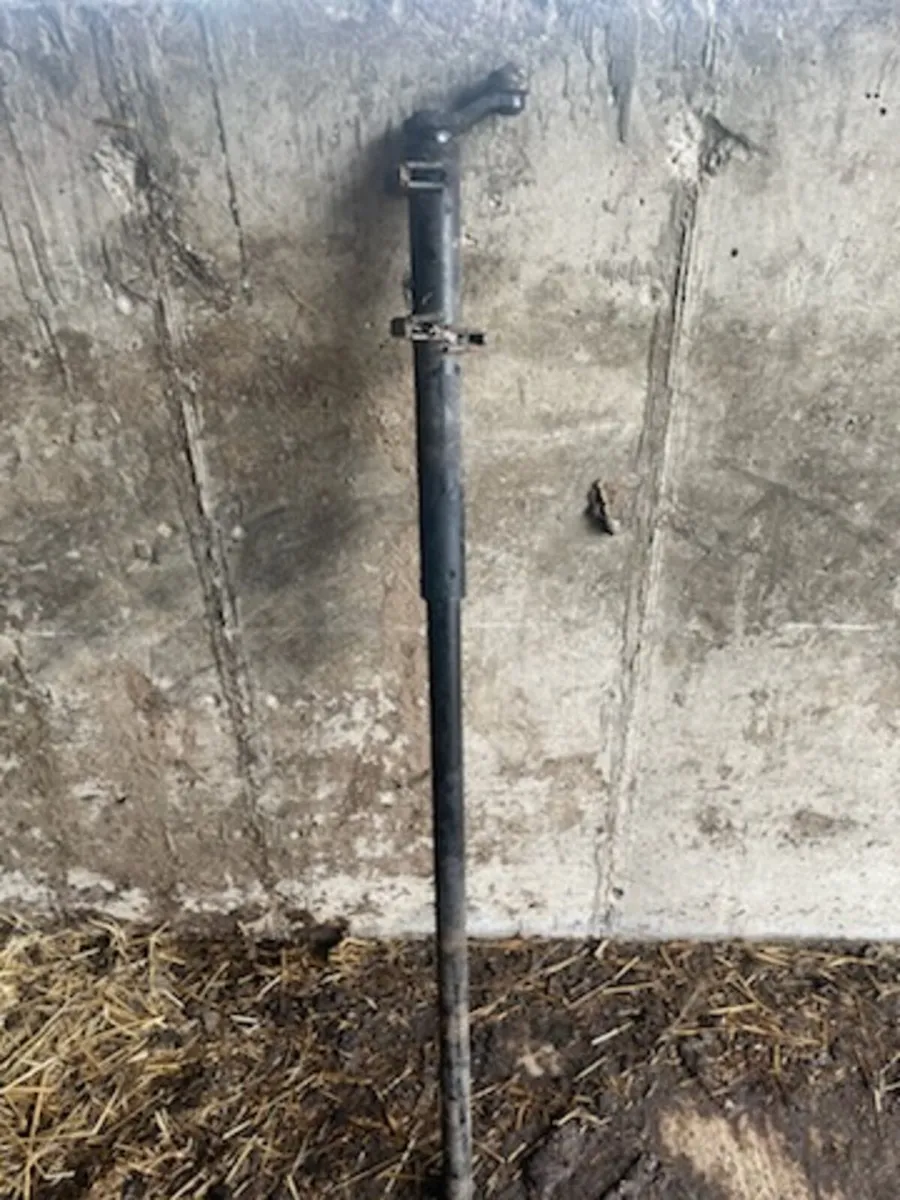 Lely 745 tine arms - Image 3
