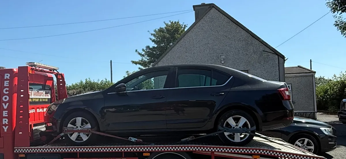 172 Skoda Octavia 1.6tdi - Image 2