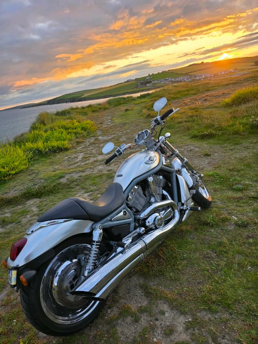 Harley v rod special edition very good condition - Image 1