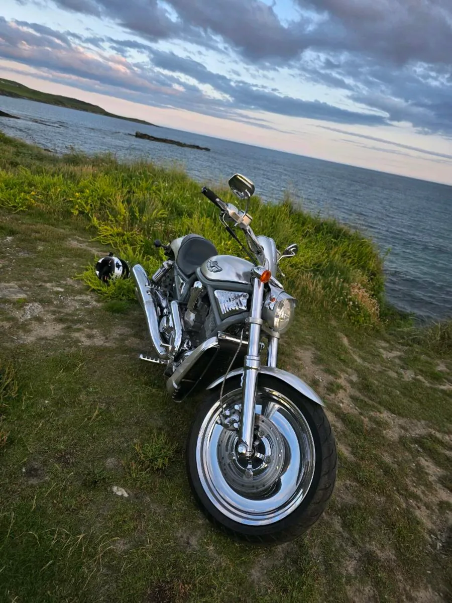 Harley v rod special edition very good condition - Image 2