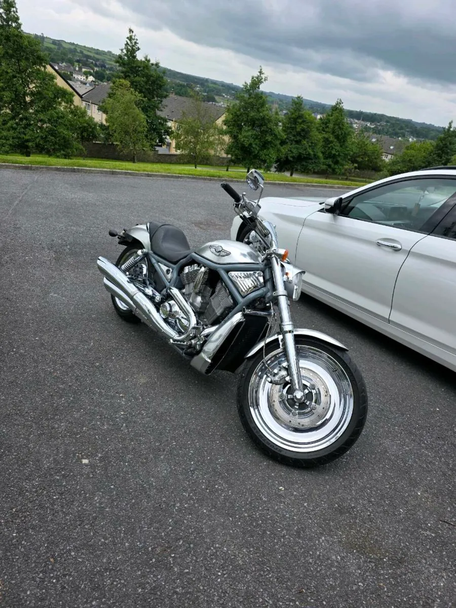 Harley v rod special edition very good condition - Image 3