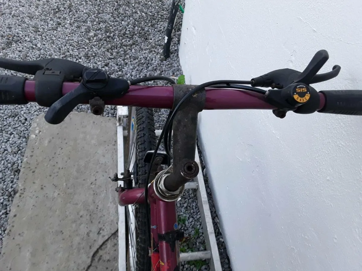 Ladies Raleigh Bicycle - Image 3