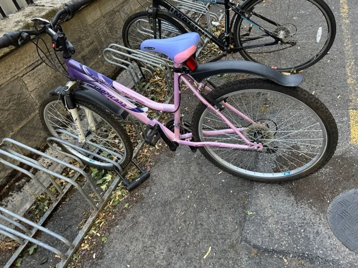 Bicycle - Image 2