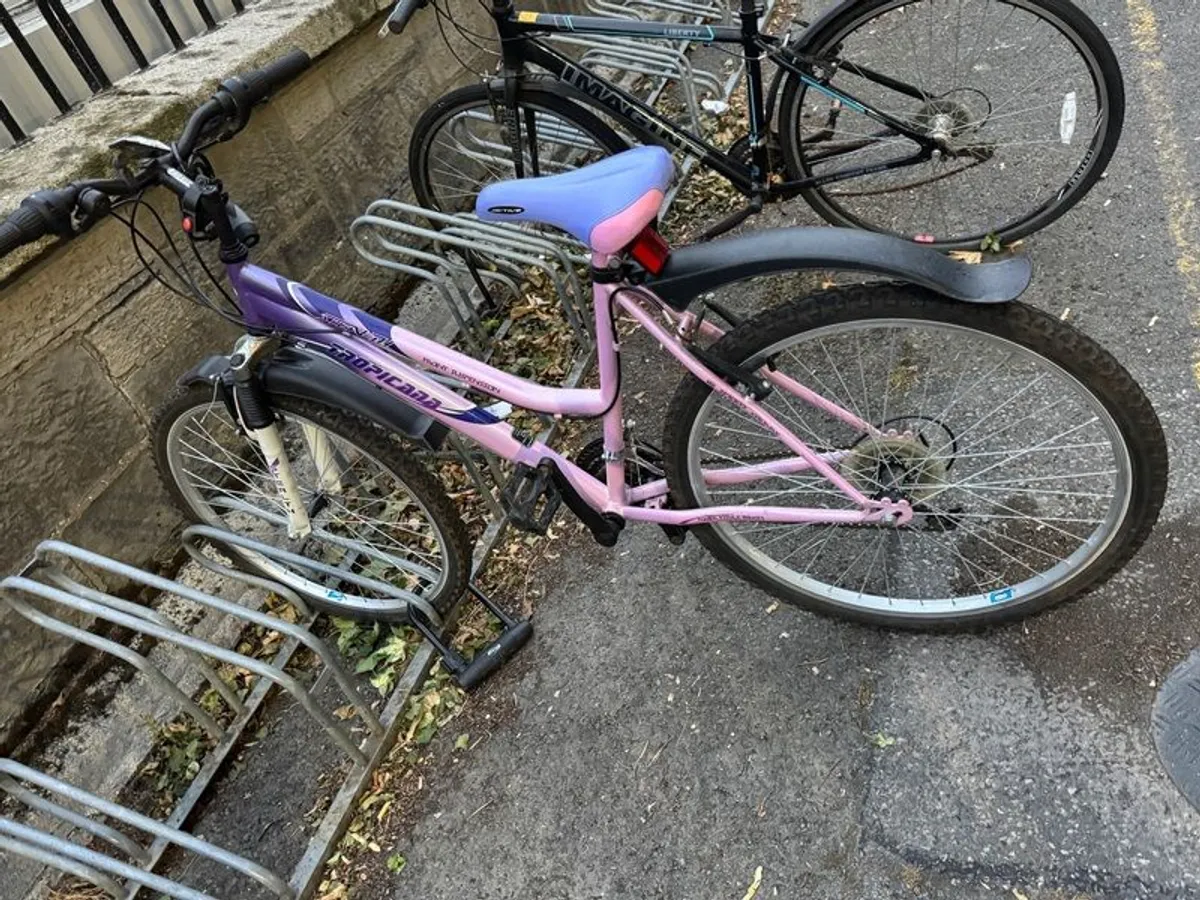 Bicycle - Image 3
