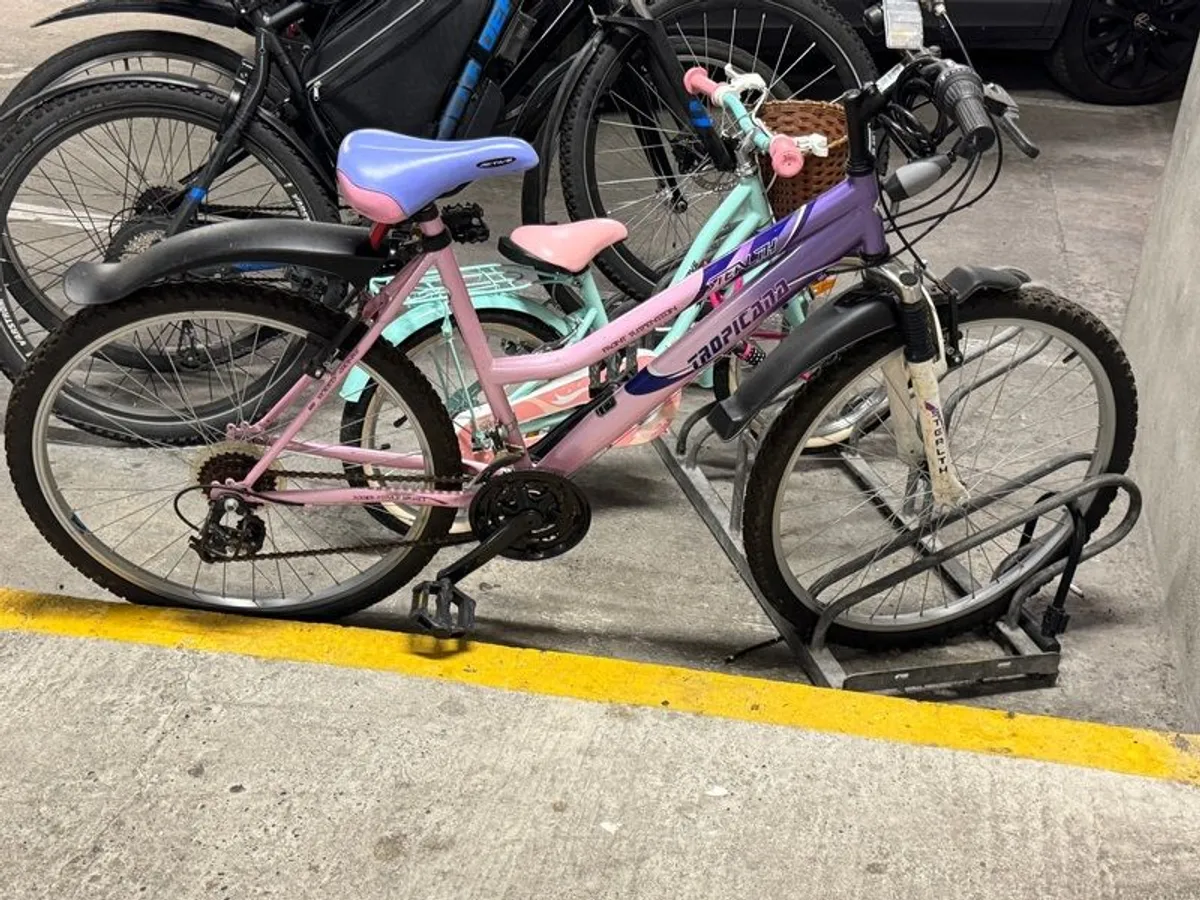 Bicycle - Image 4