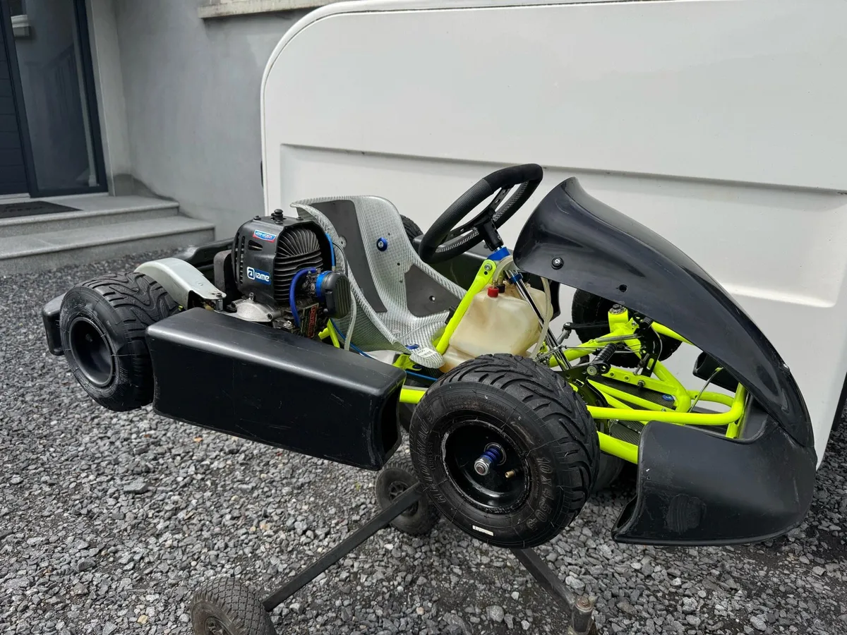 Bambino karts. Ages 4-8 - Image 1