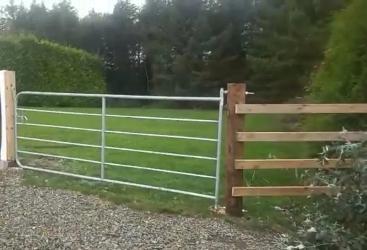 Fencing contractor - Image 3