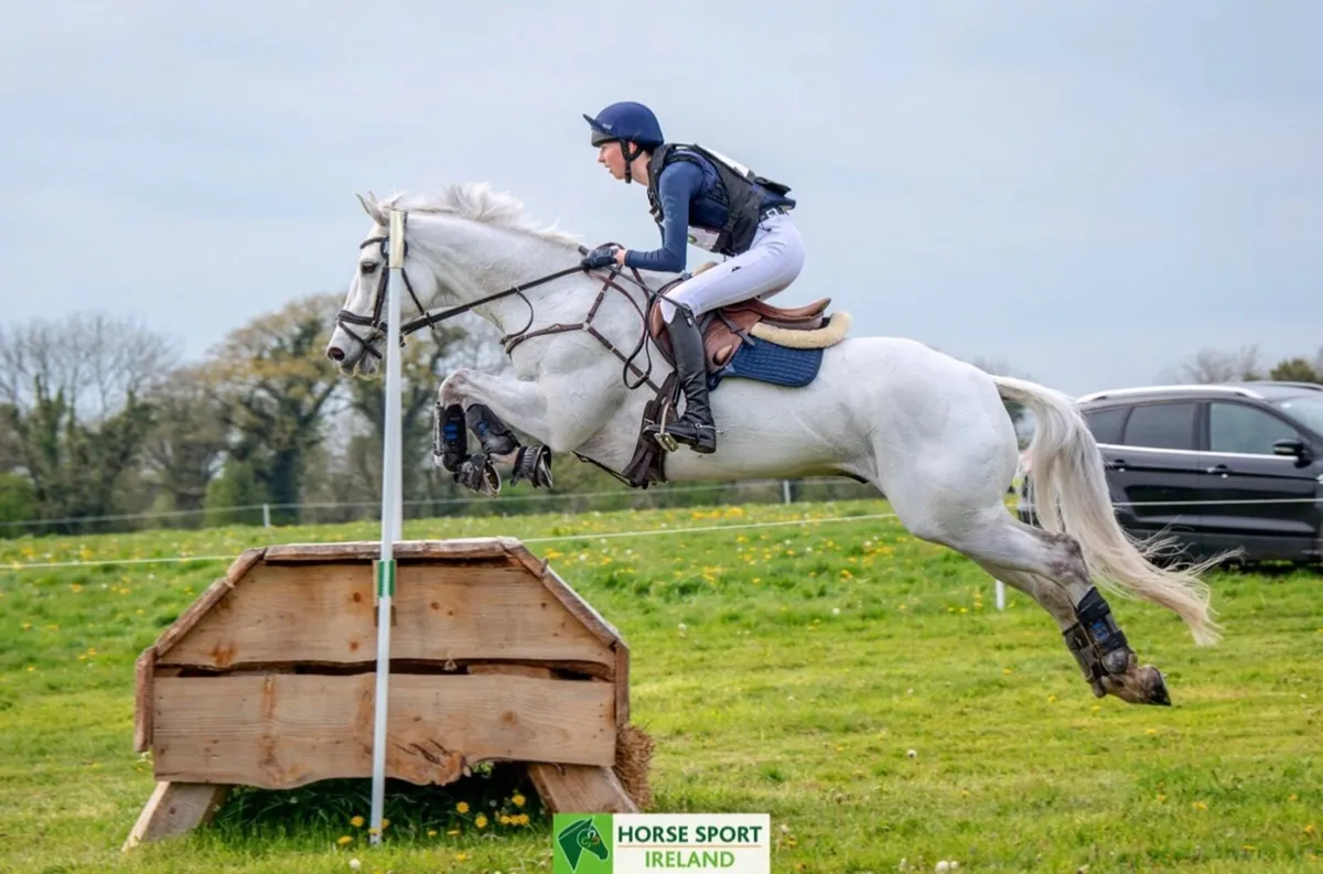 Experienced Equestrian Riding Services - Image 1