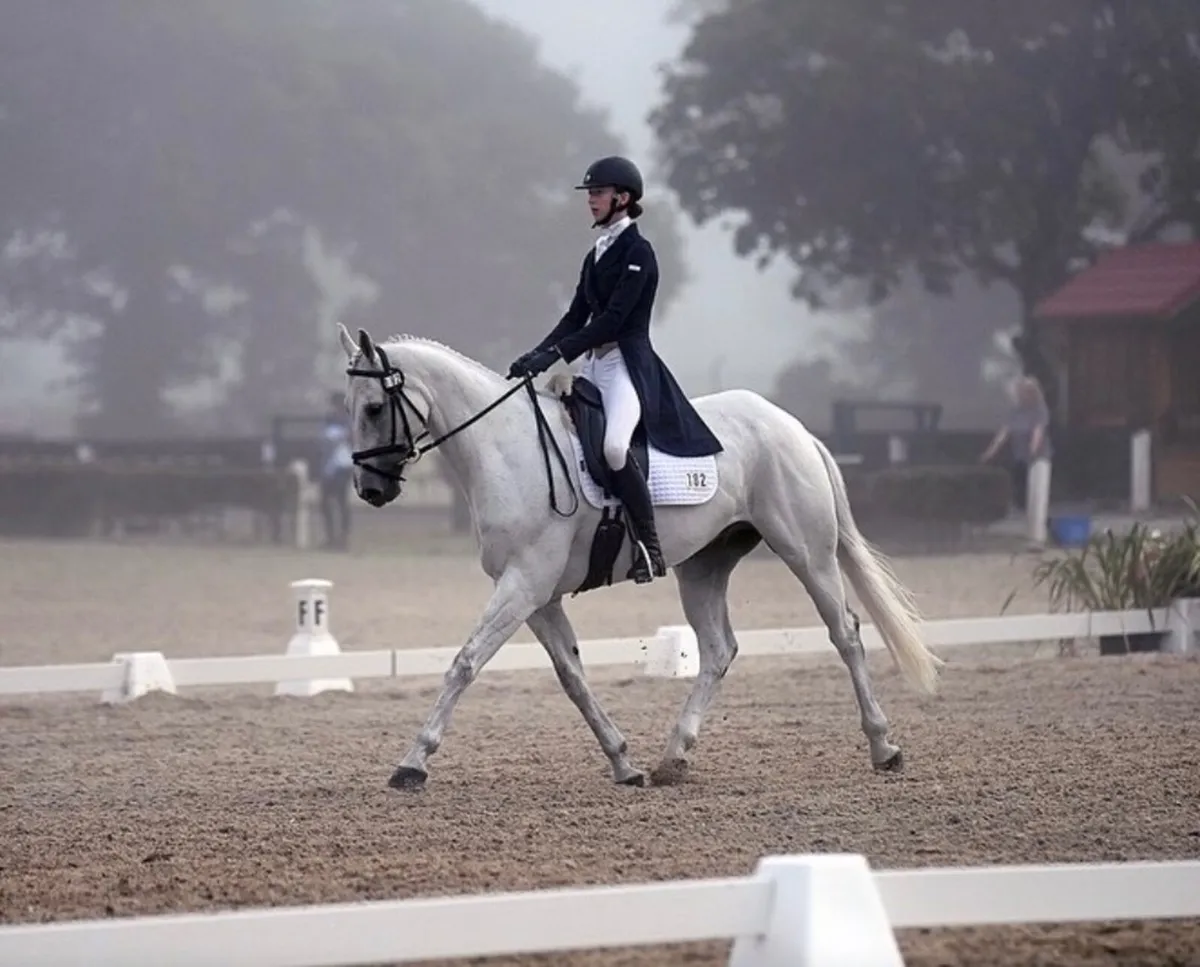 Experienced Equestrian Riding Services - Image 3