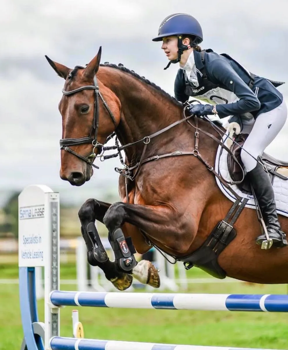 Experienced Equestrian Riding Services - Image 4
