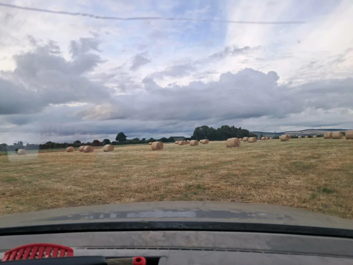 Hay - Image 2
