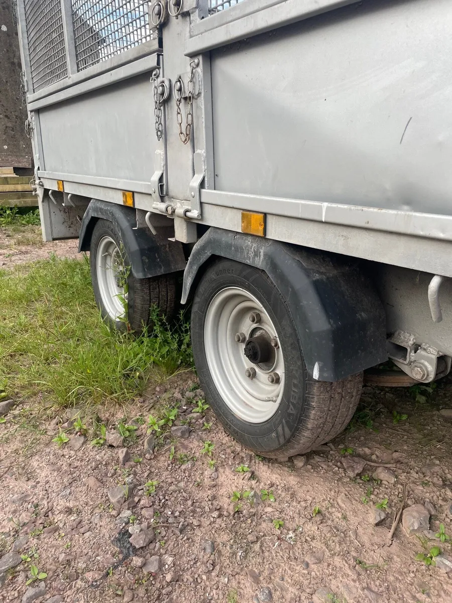 Nugent 10x5ft6’ cage trailer - Image 4