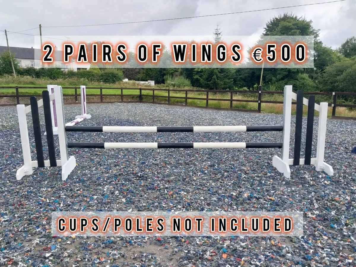 Horse jump wings - Image 2