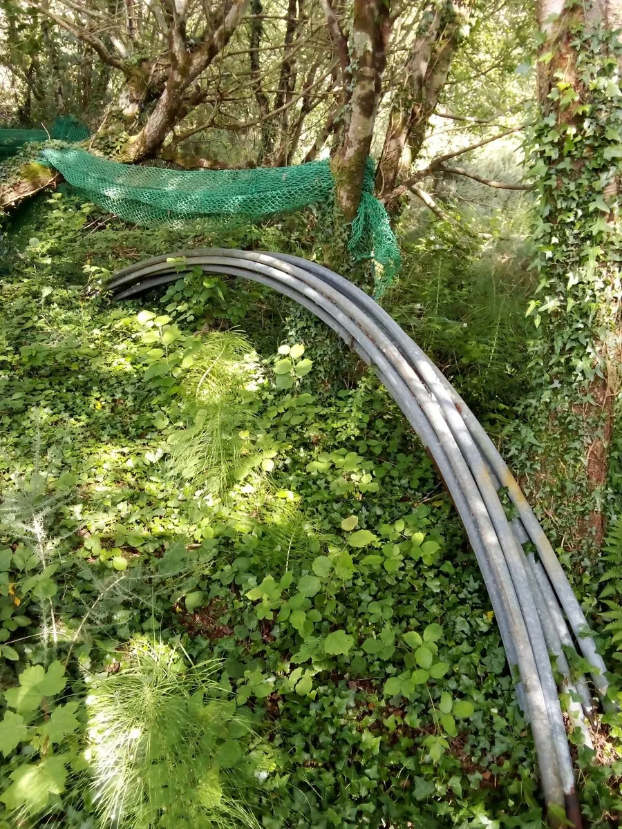 Polly tunell tubes.
