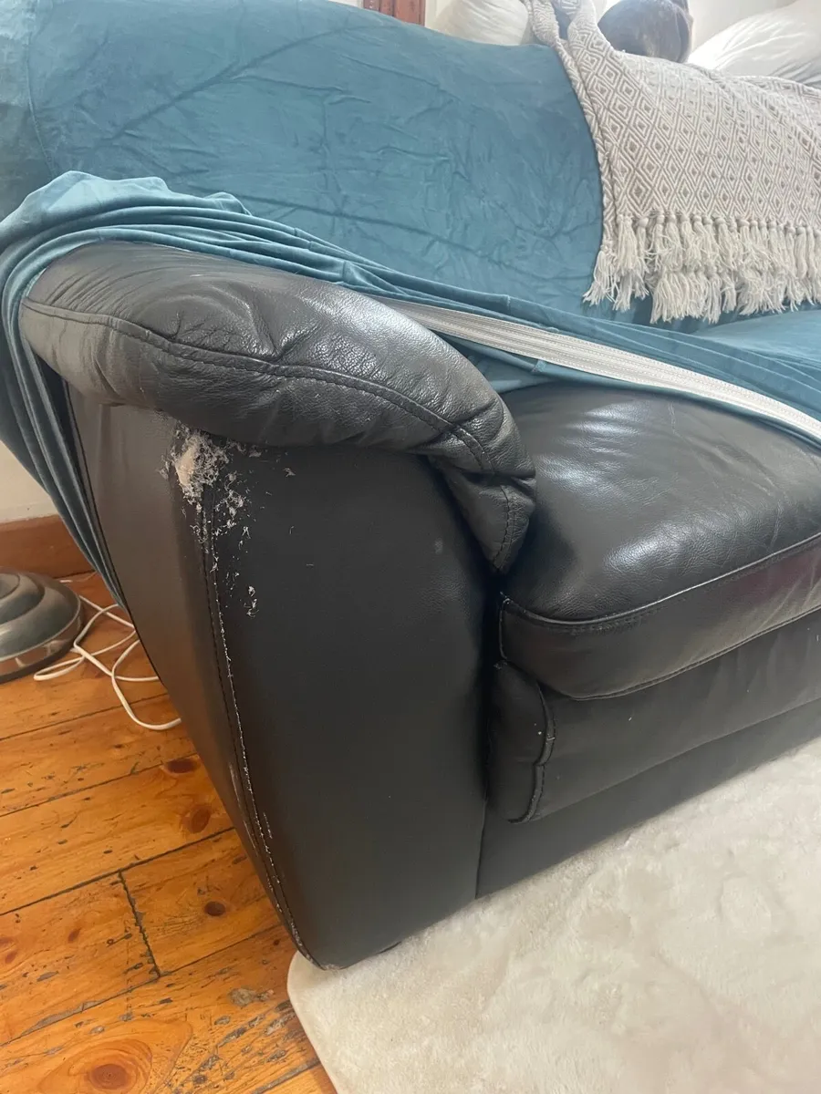 Couch - Image 2