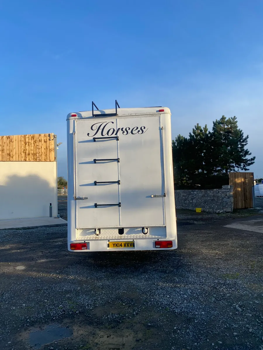 Dad Horse Truck For Sale - Image 2