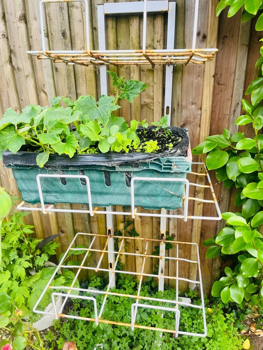 Metal stand for plants - Image 2
