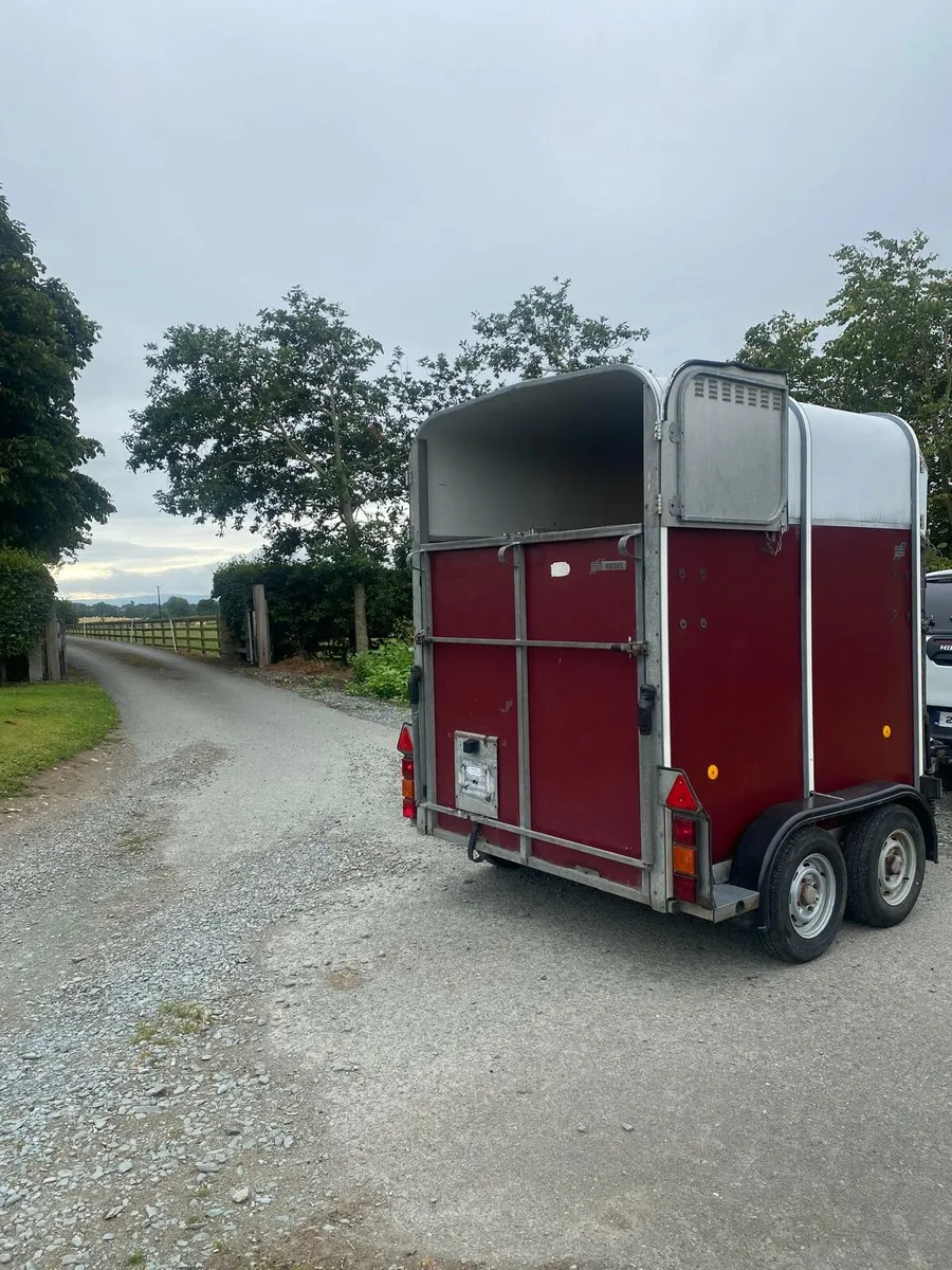 Iforwilliams 505 horse box - Image 2