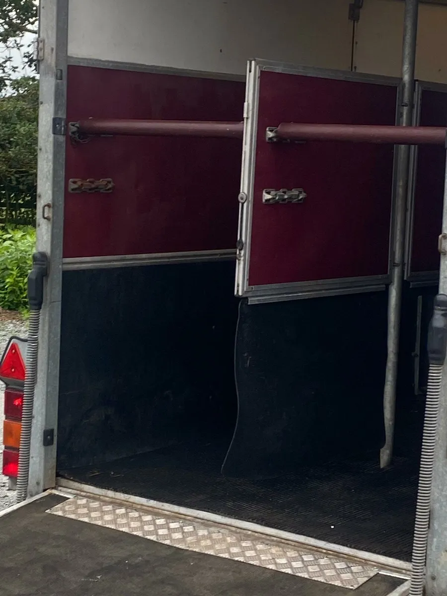 Iforwilliams 505 horse box - Image 4