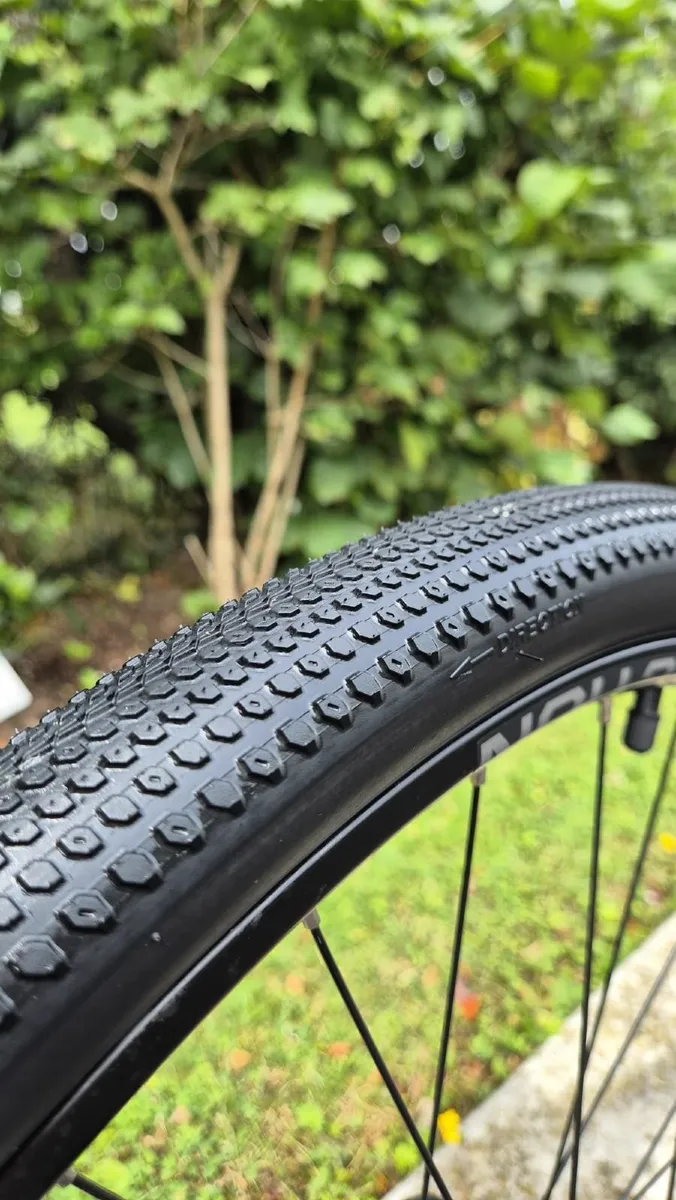 Trek Dual Sport 2- XL Frame- Pristine Condition - Image 2