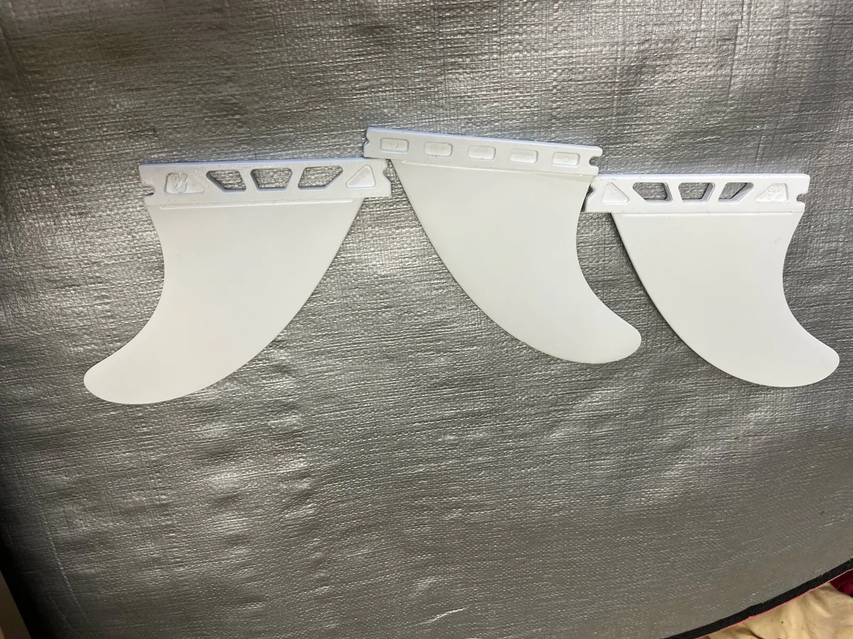 Fins Futures - Image 1