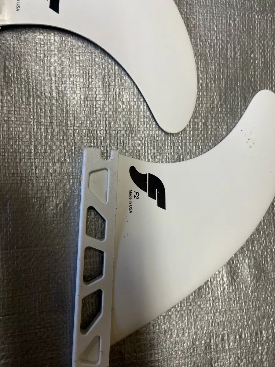 Fins Futures - Image 2