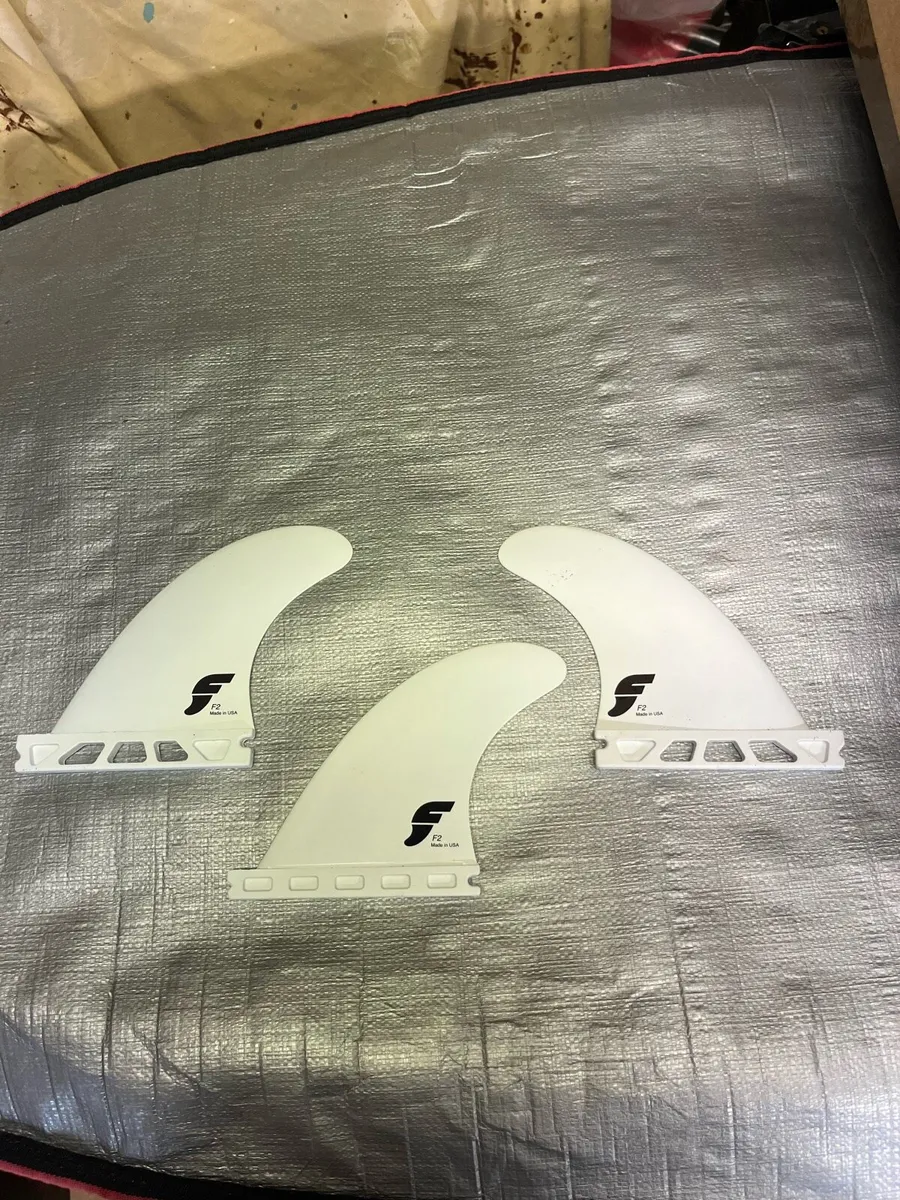 Fins Futures - Image 3