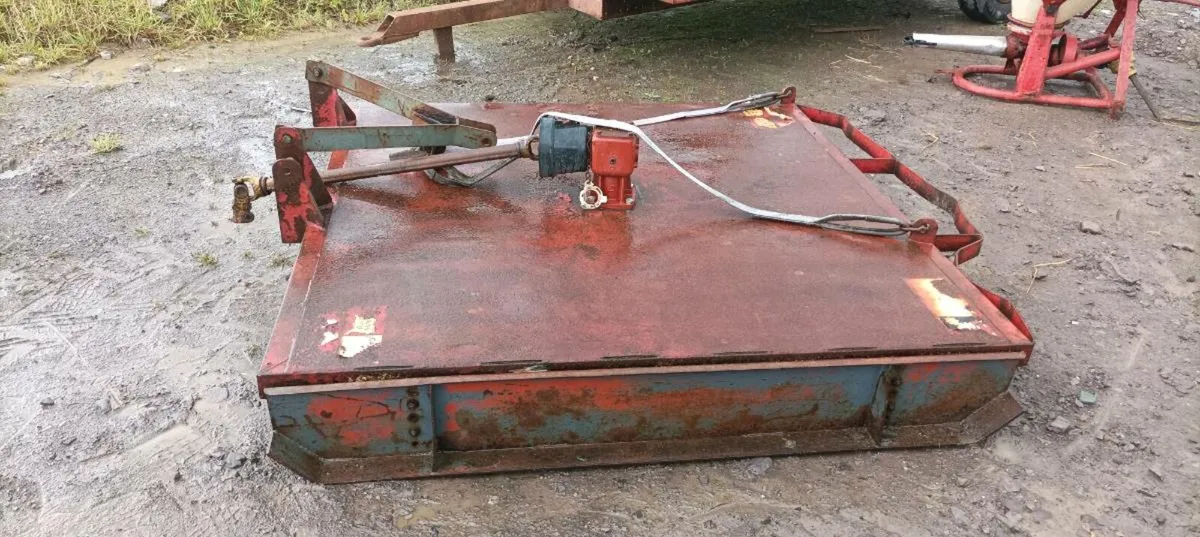 Yard clearance - Image 3