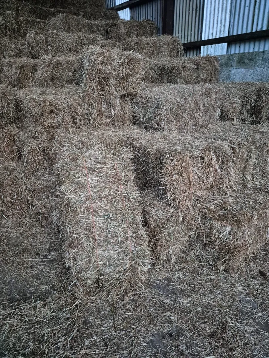 Square hay bales