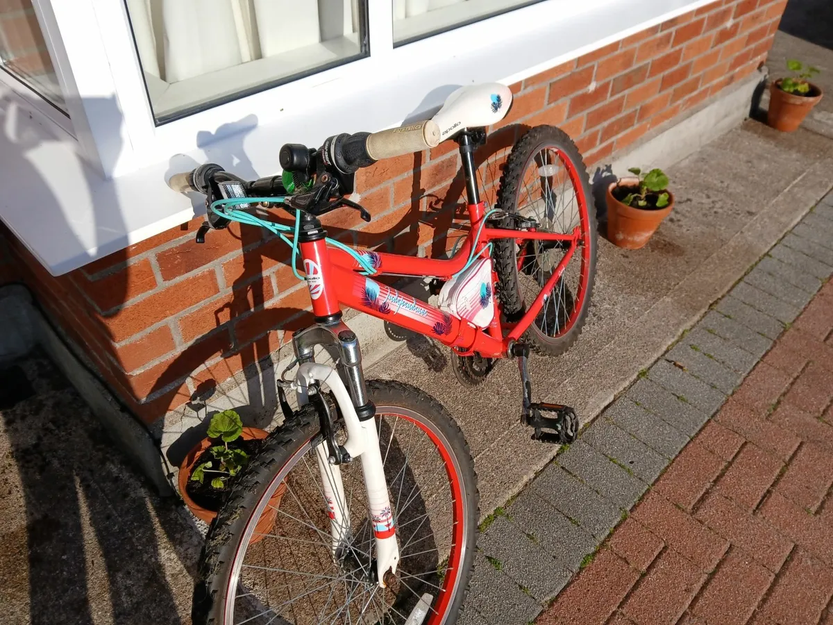 Kids Bicycle - Image 1