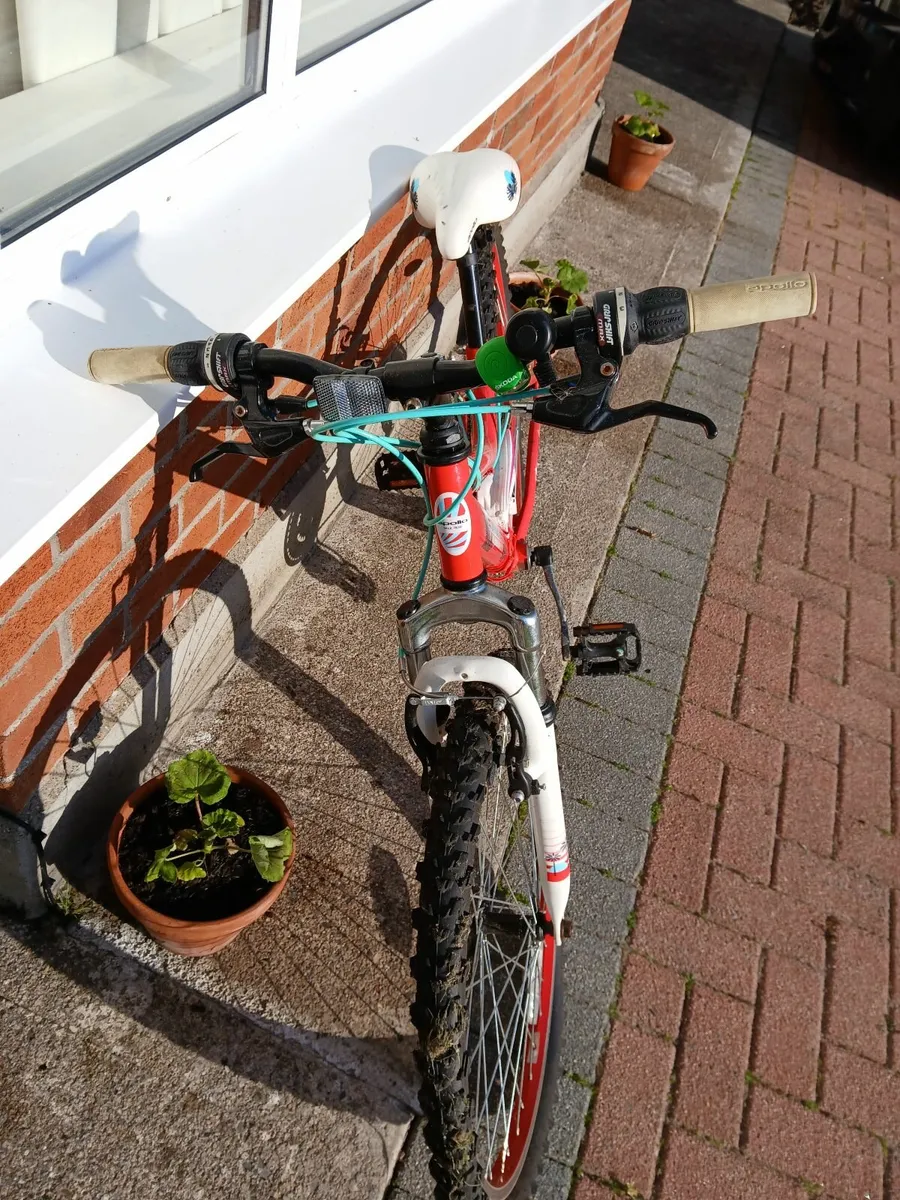 Kids Bicycle - Image 2