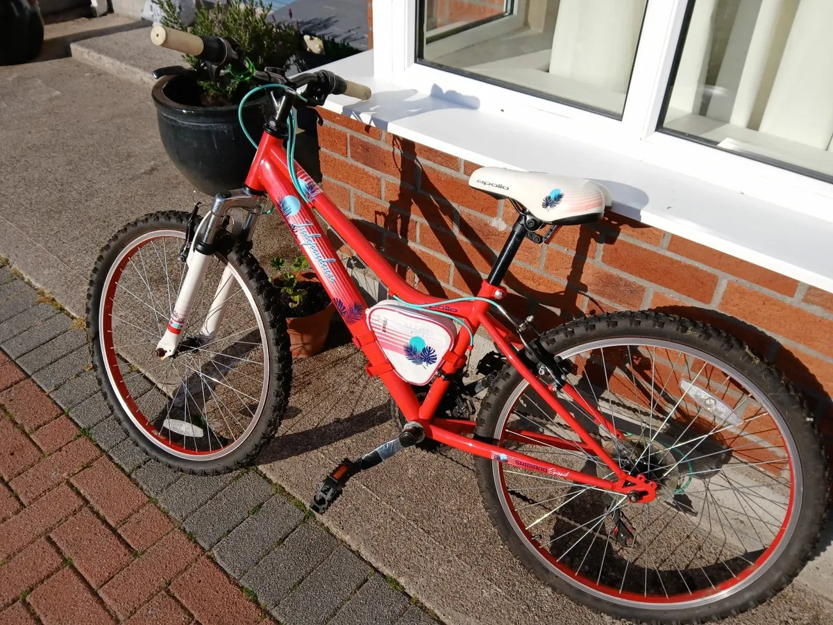Kids Bicycle - Image 4