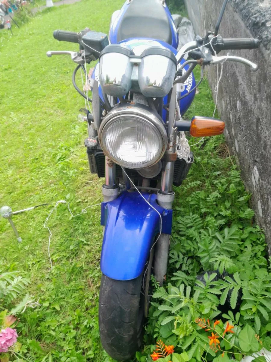 Honda hornet 600 - Image 1