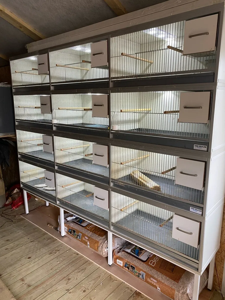 Breeding cages - Image 1