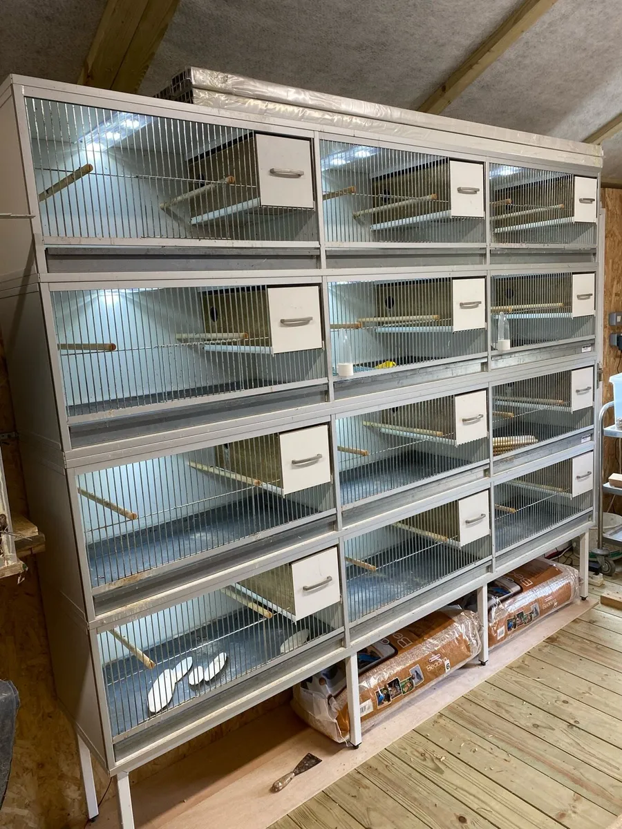 Breeding cages - Image 4