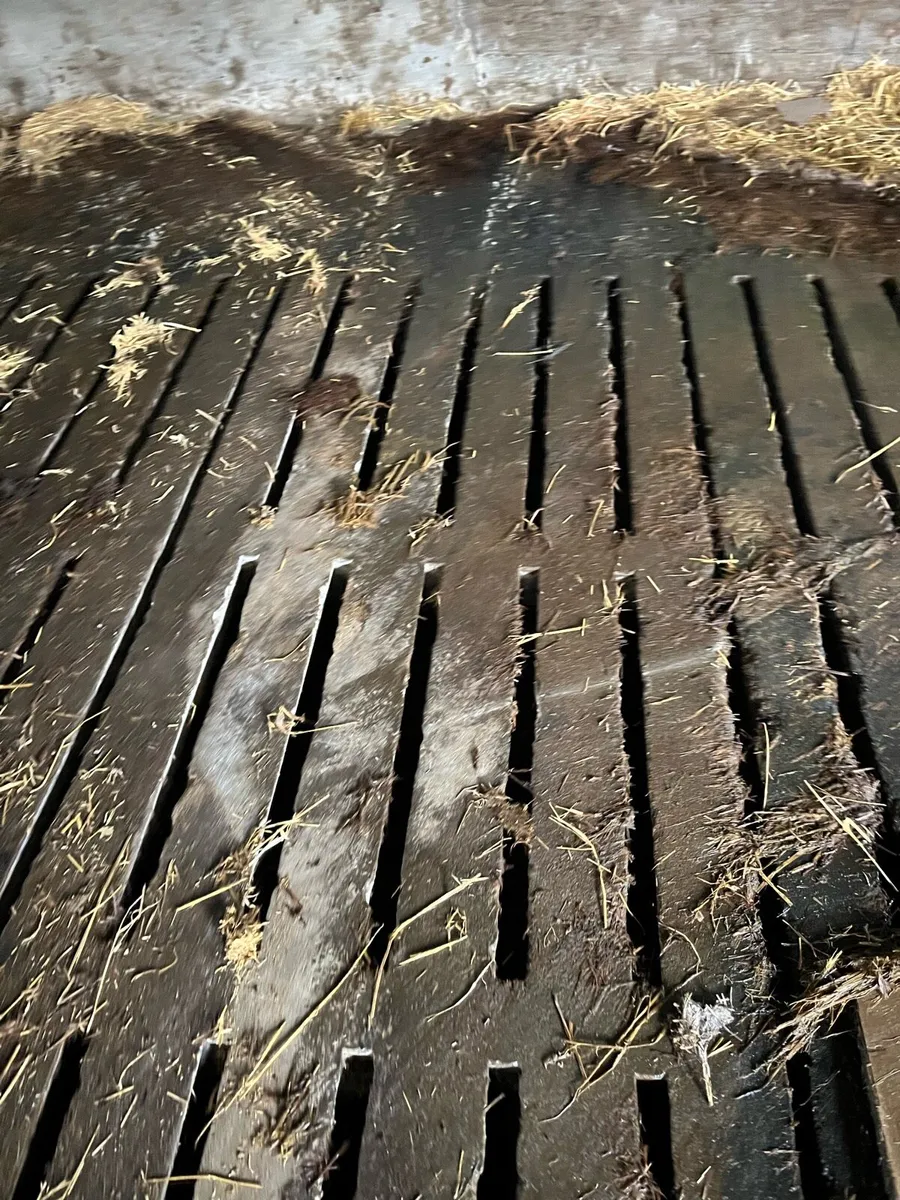 Used cattle slats - Image 1