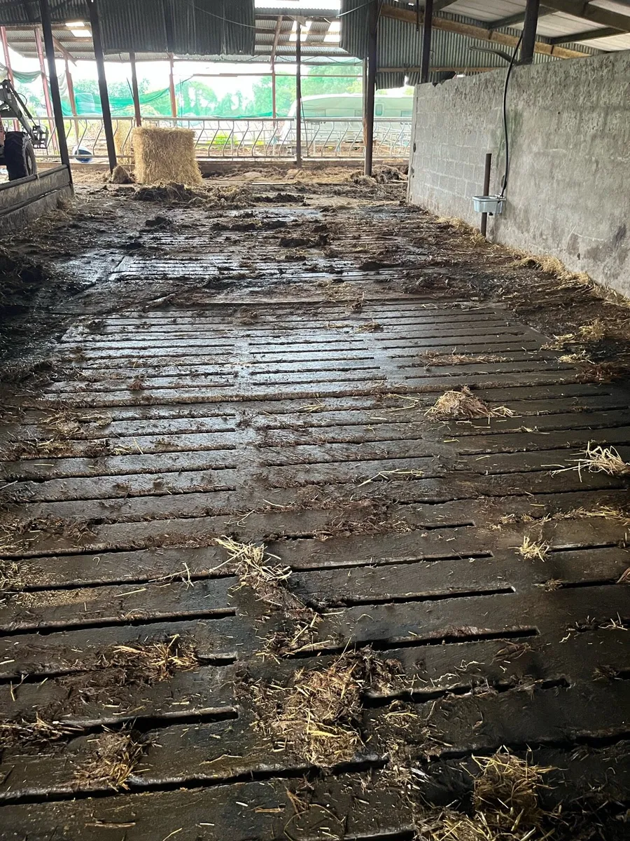 Used cattle slats - Image 2
