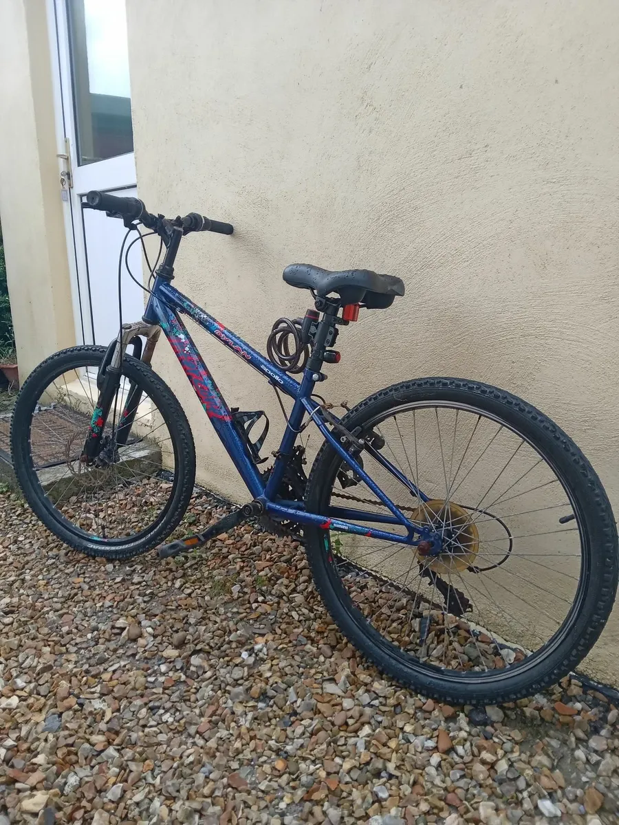 Girl's bike - Image 1