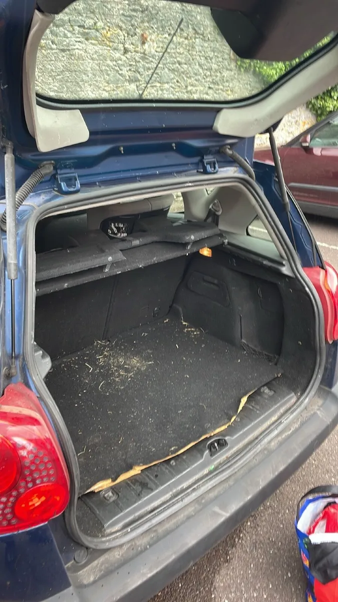 2010 Peugeot 207 1.6HDI SW - Image 3