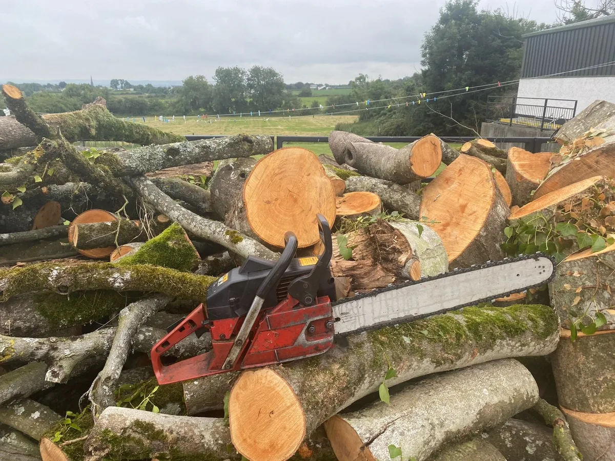 Chainsaw - Image 1