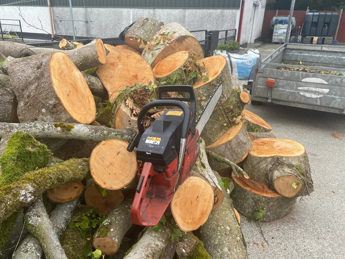 Chainsaw - Image 2