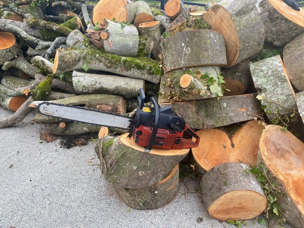 Chainsaw - Image 4