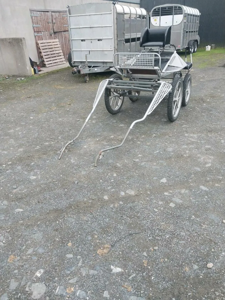 EVENT CARRIAGE FOR SALE - Image 1