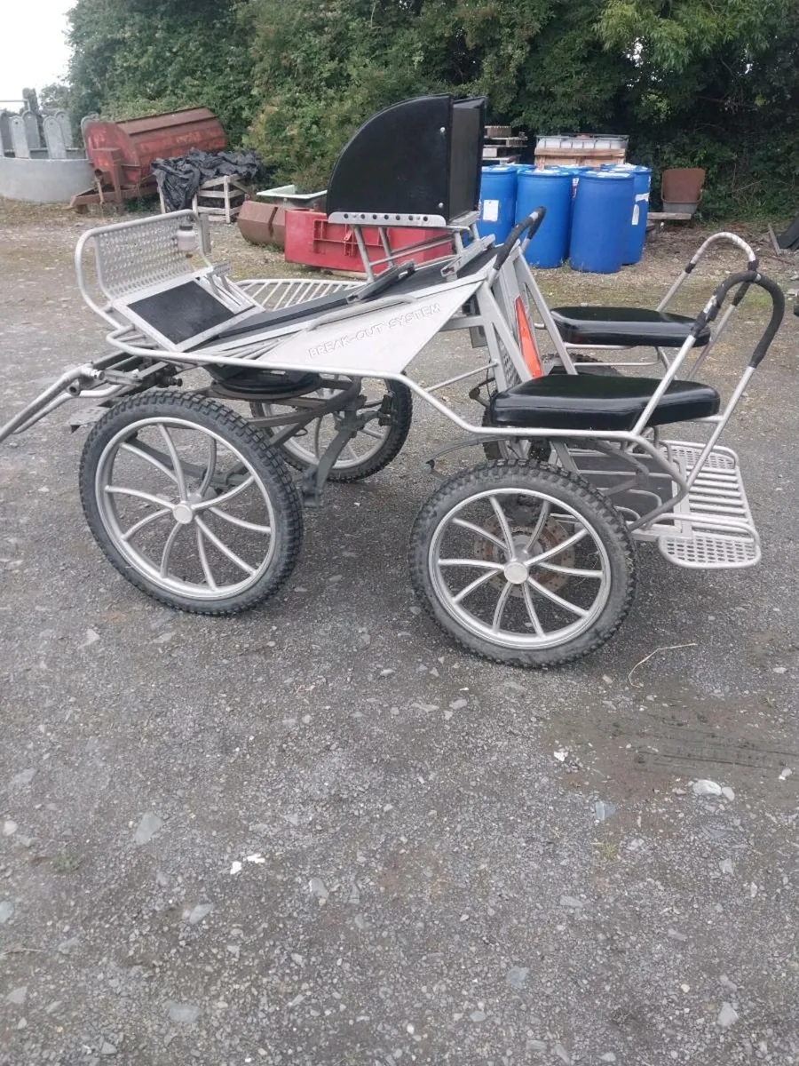 EVENT CARRIAGE FOR SALE - Image 3