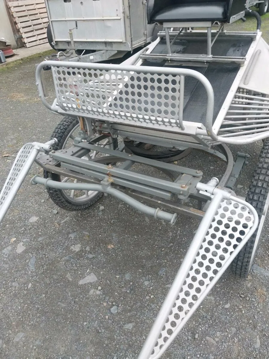 EVENT CARRIAGE FOR SALE - Image 4